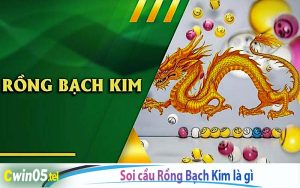 Rồng Bạch Kim là gì?