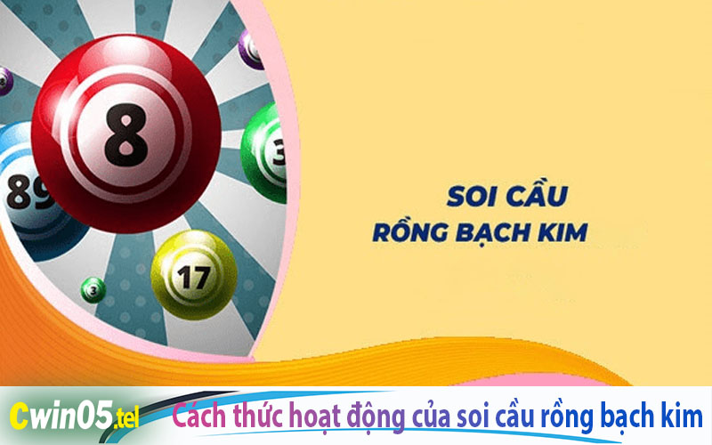 Cách thức hoạt động của Soi cầu Rồng Bạch Kim là gì?